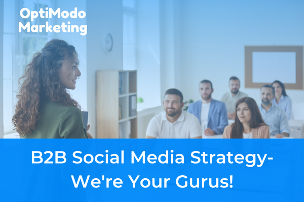 social media management for B2B